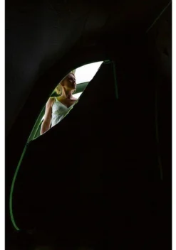 Coleman Weathermaster 8XL Air Tent 24 Coleman Weathermaster 8XL Air Tent -Vango Camping Shop 2000035190 6 1