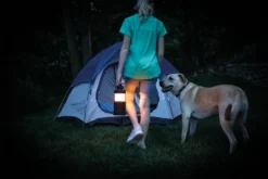 Nebo BIg Poppy RC Lantern -Vango Camping Shop eneb6908 16 fullsize